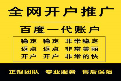 百度竞价广告投放的ROI优化：经典案例分享